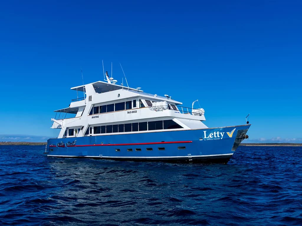 yatch