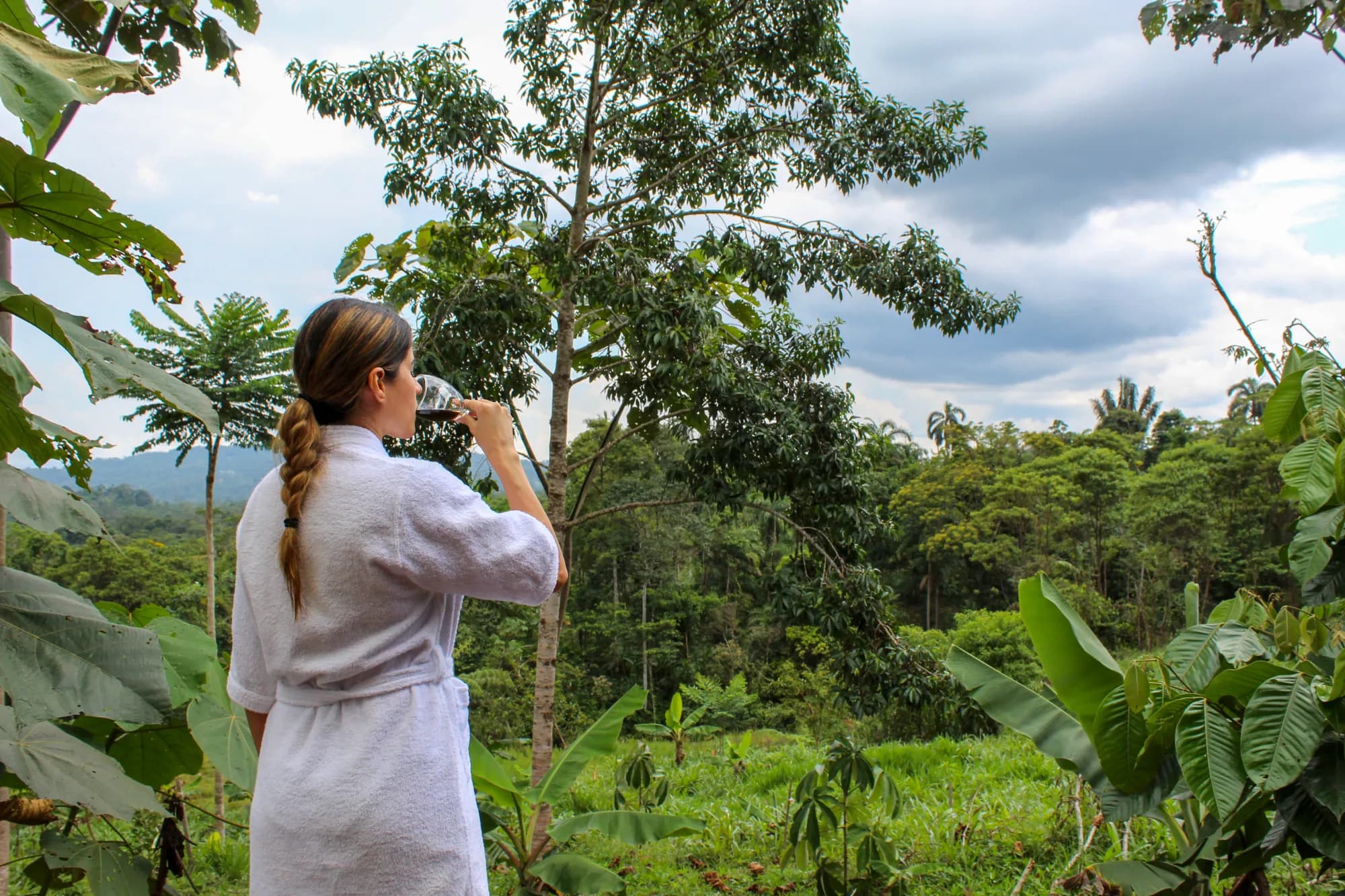 cacao tour