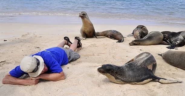 Descubre la magia de las Islas Galápagos