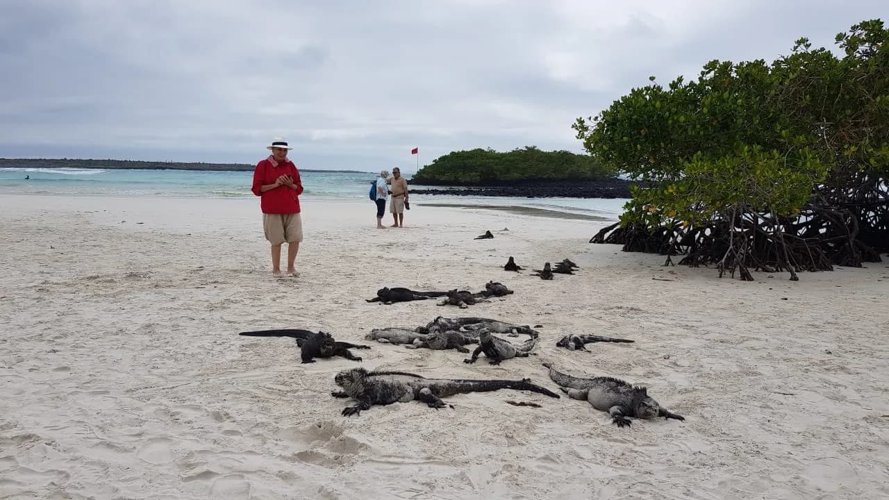 Descubre la magia de las Islas Galápagos