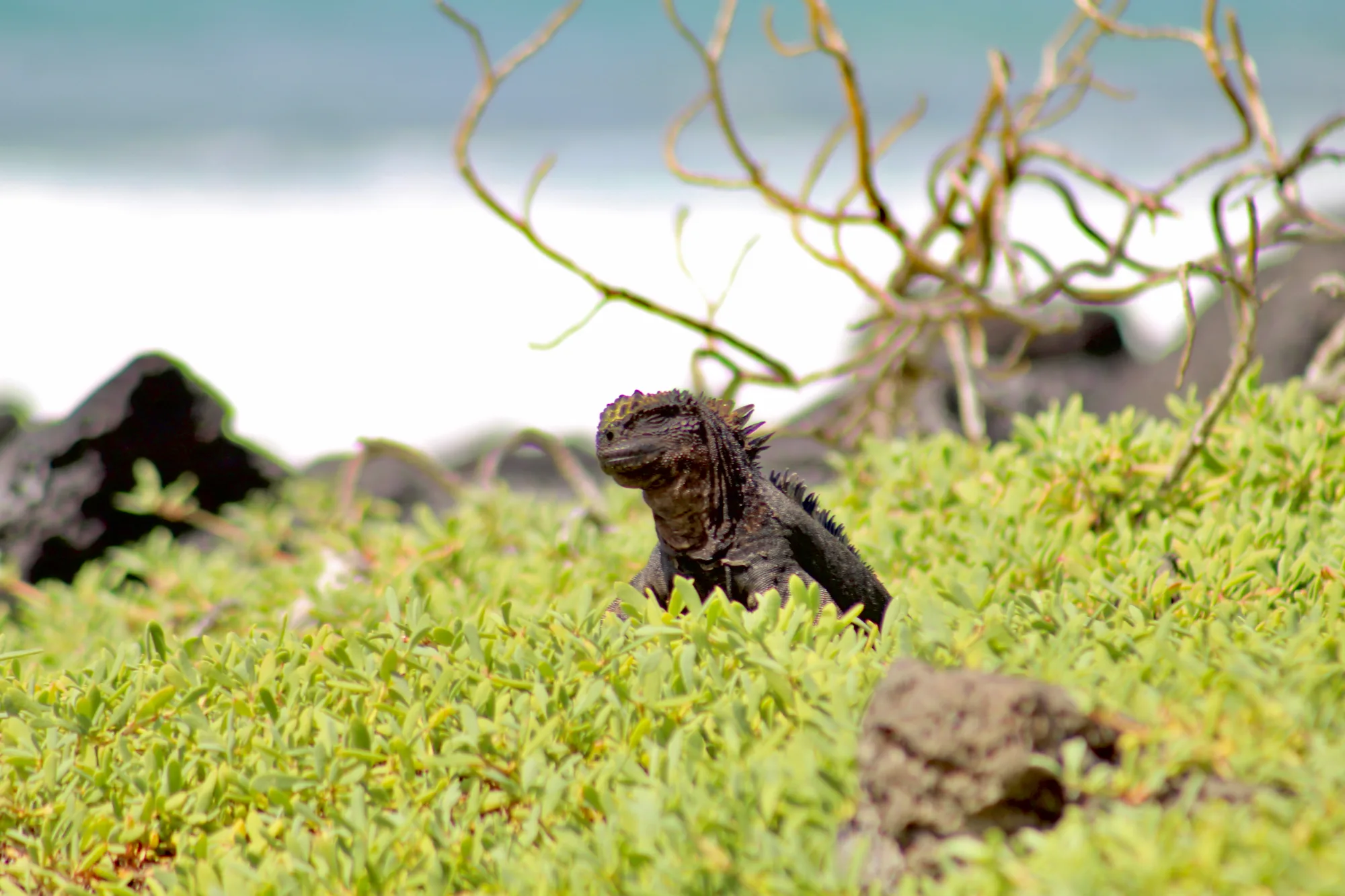 La aventura comienza con la visita al Rancho Primicias, ubicado en las tierras altas de Santa Cruz
