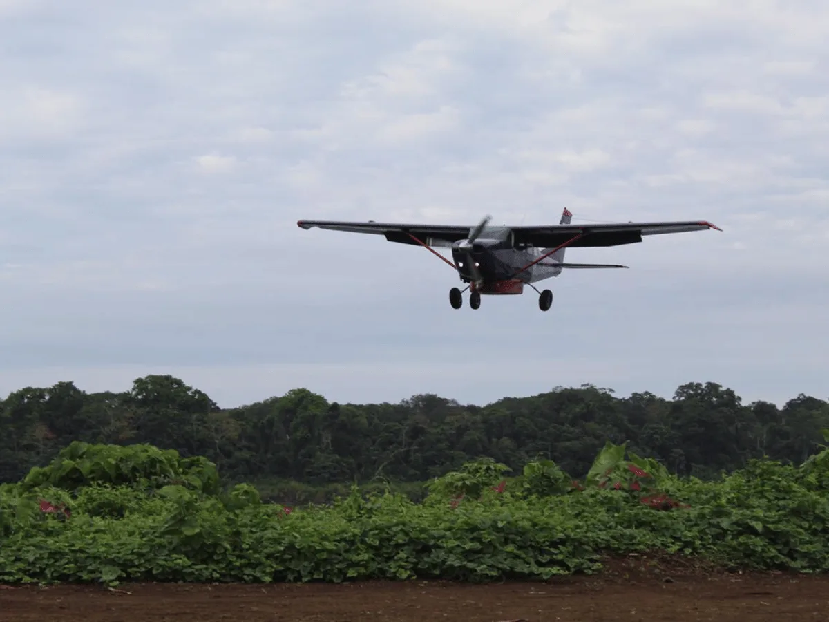 Amazon rainforest exploration
