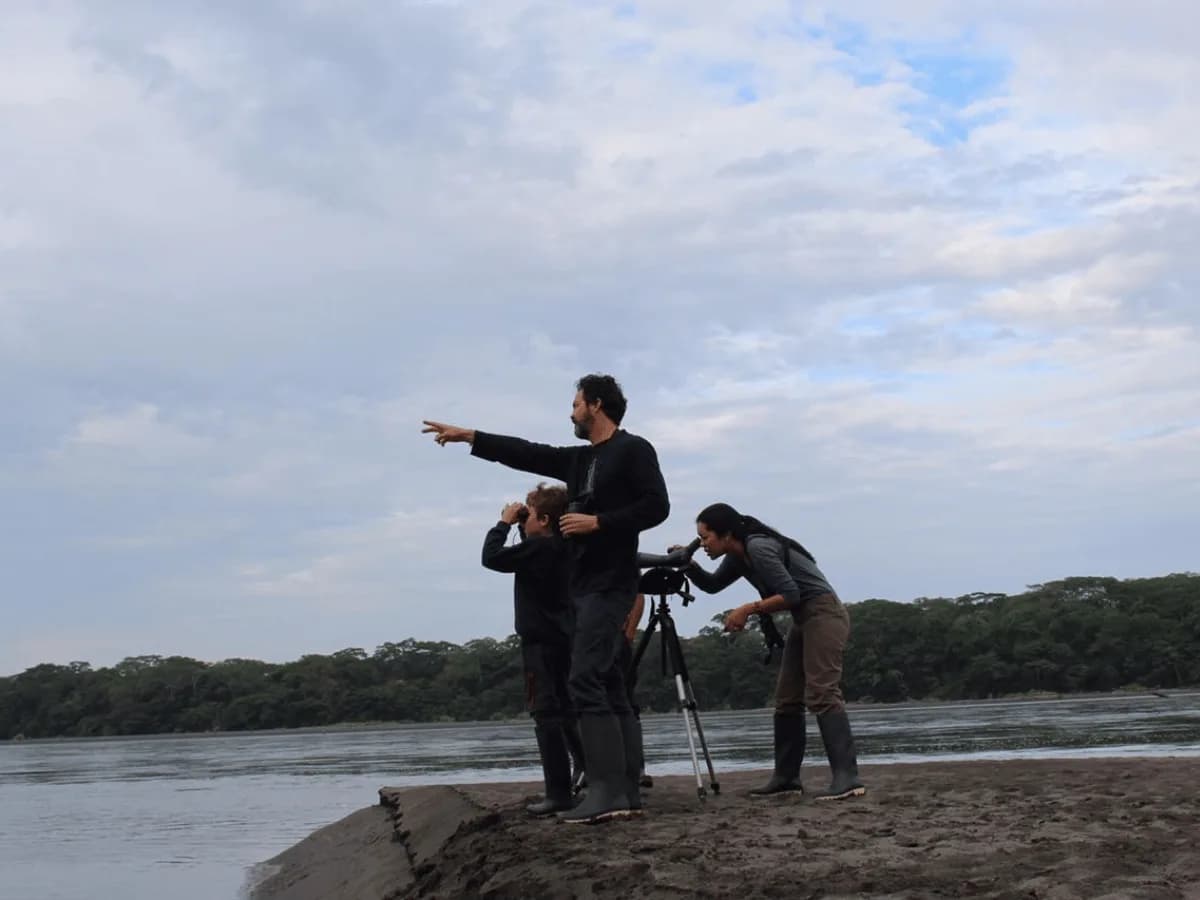 Wildlife observation